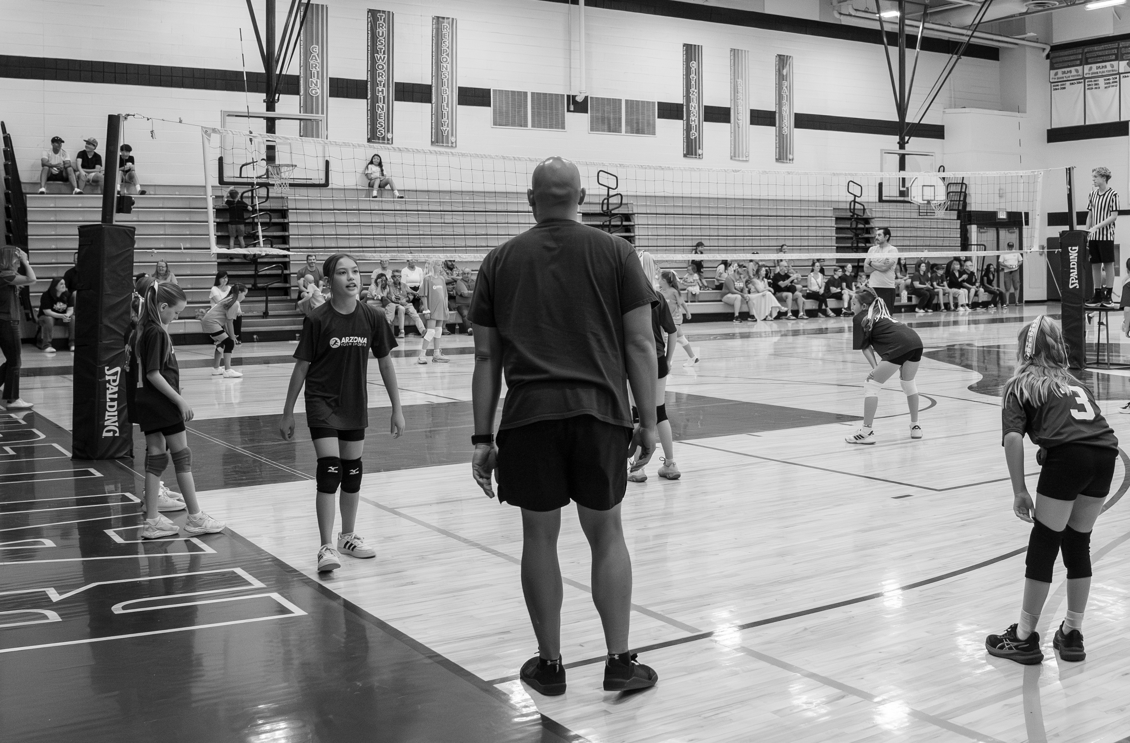 Skills Development